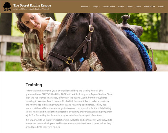 dorset equine rescue training horses